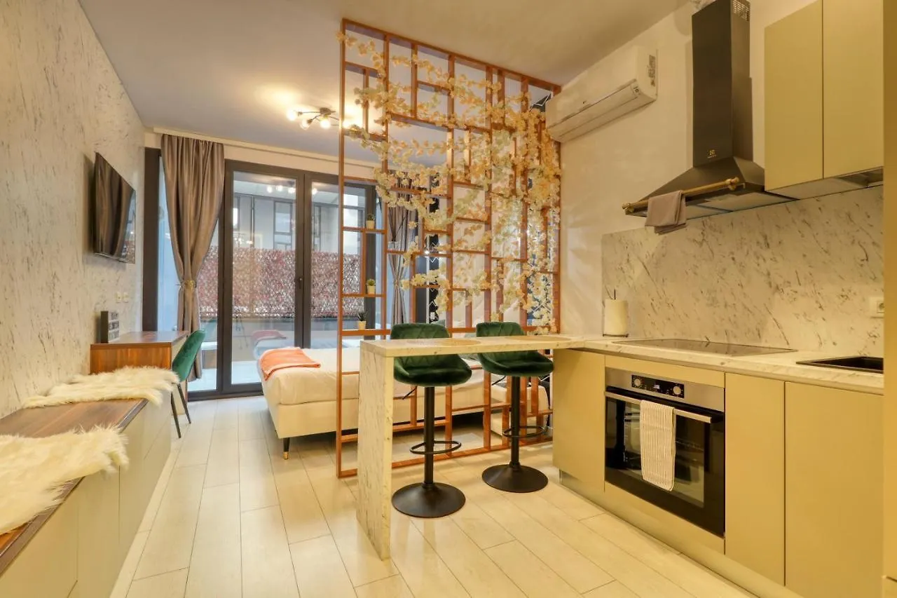 Herastrau Luxury Studios Bucarest